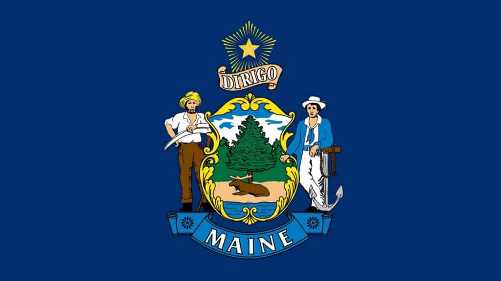 Best Veterinarians In Maine